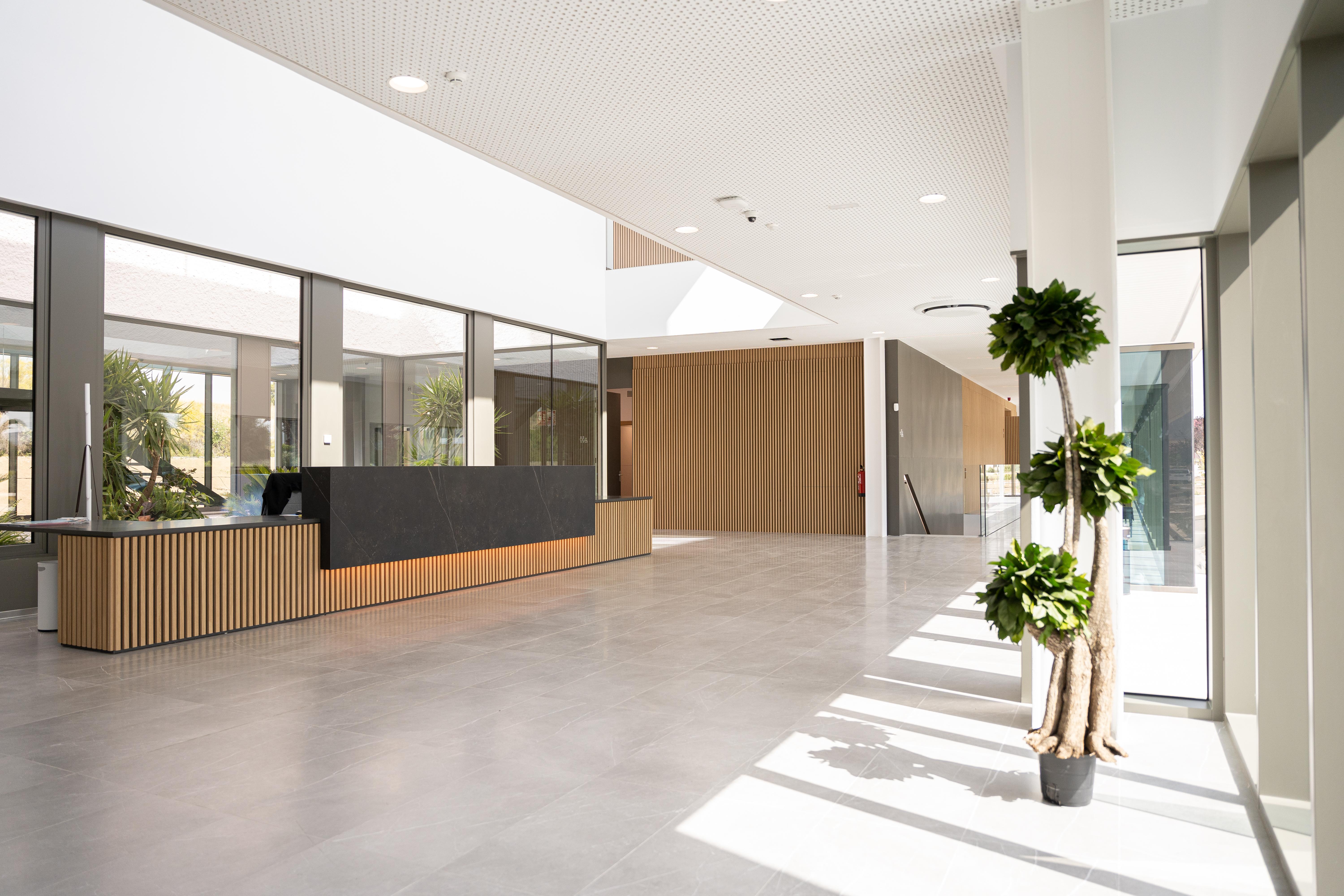 Oficinas Grupo Avanza